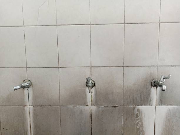 Best Basement water damage restoration  in Woodville, OH