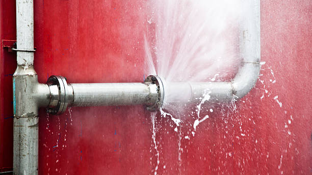 Best Sewage cleanup and water damage restoration  in Woodville, OH